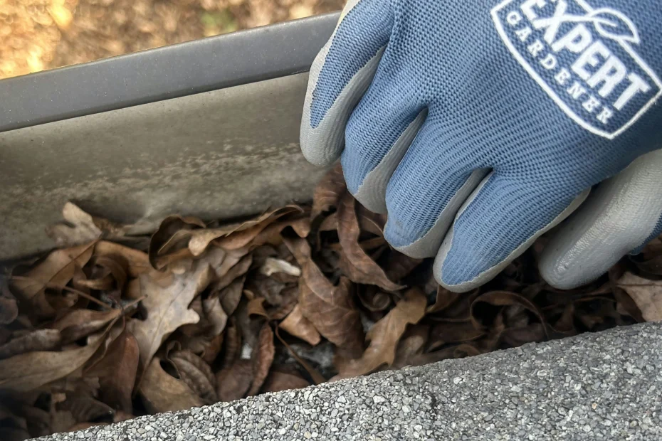 Gutter Cleaning Middletown